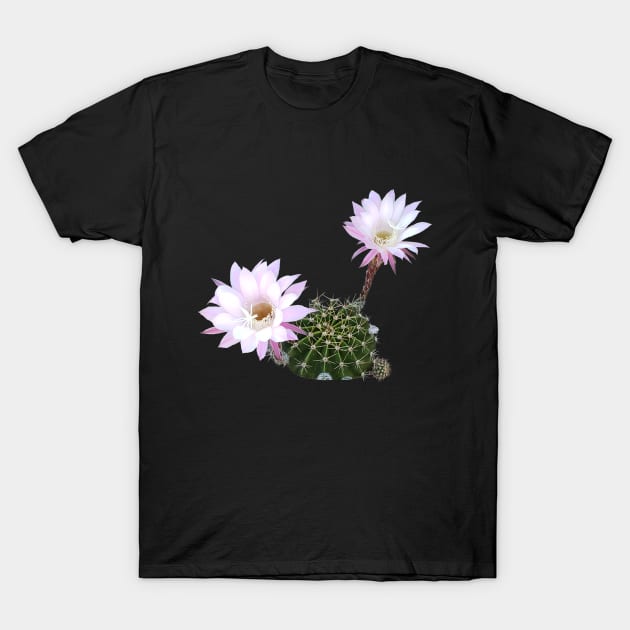 Flowering Cactus T-Shirt by etihi111@gmail.com